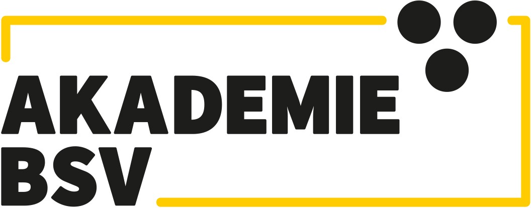 Berufliche Assistenz und Akademie BSV GmbH